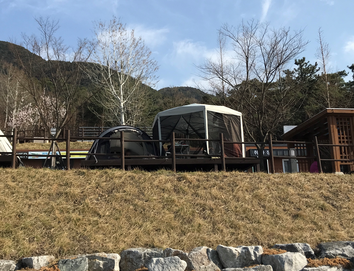 335 이더리움 코인 시드 늘리는법
