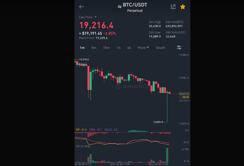 991 바이낸스 자동매매 프로그램 청산당했습니다 도와주세요